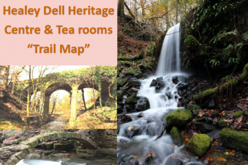 Healey Dell Heritage Trails 1