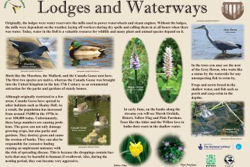 Lodges and Waterways