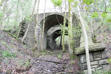 Twin bridges healey dell 2